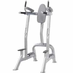 Hoist Freeweight CF-3252 Vertical Knee Raise:Dip