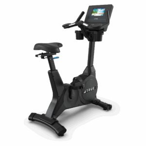TRUE Performance Series Upright Bike