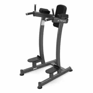 TRUE XFW-6400 Vertical Knee Raise:Dip
