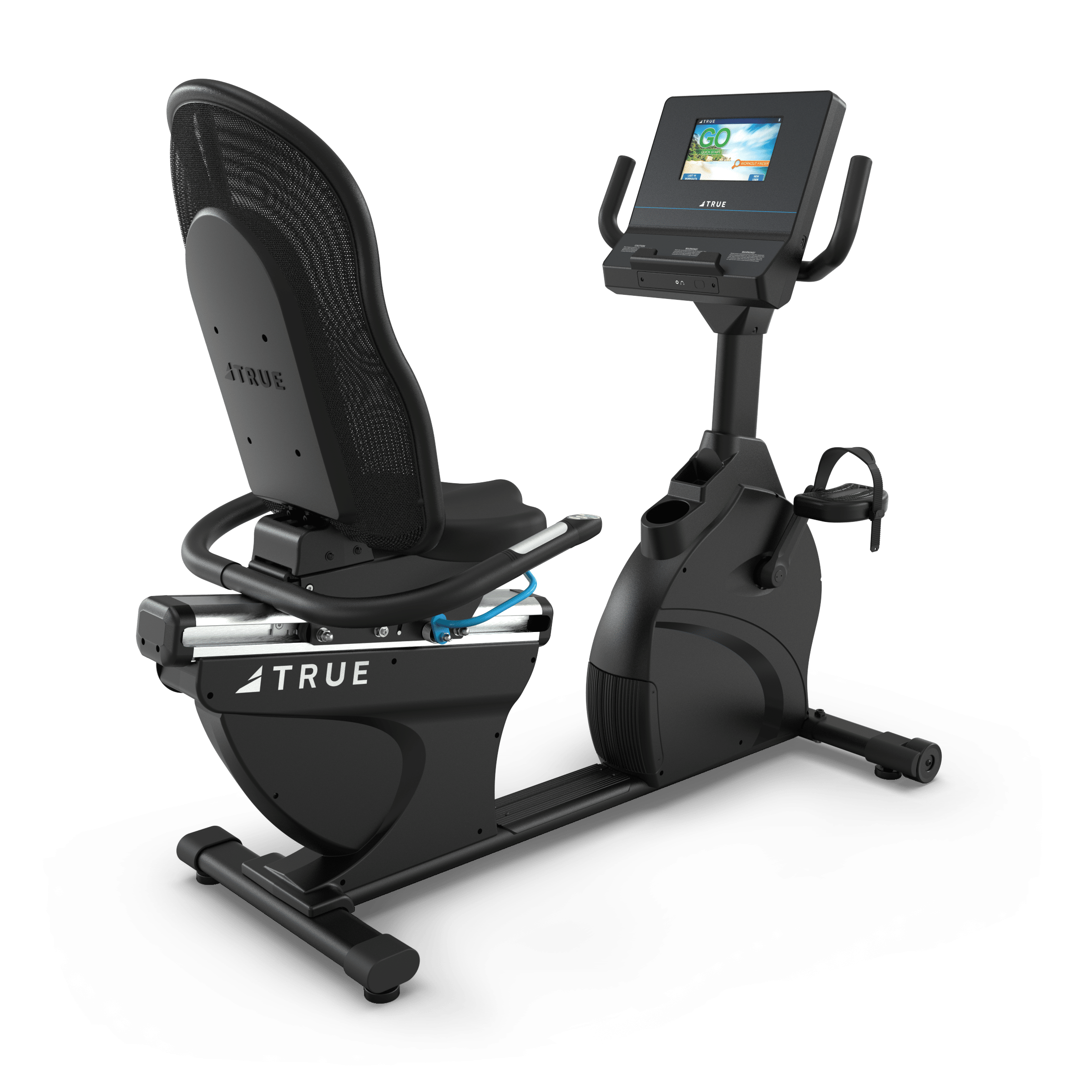 TRUE Performance Series Recumbent Bike