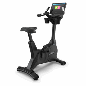 TRUE Gravity Upright Bike