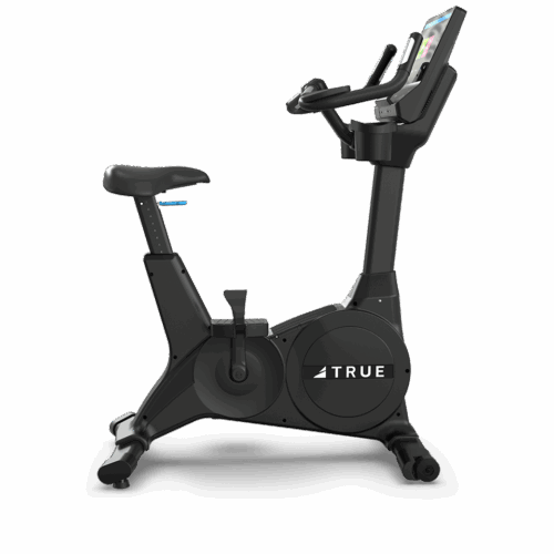 TRUE Gravity Upright Bike - Image 2