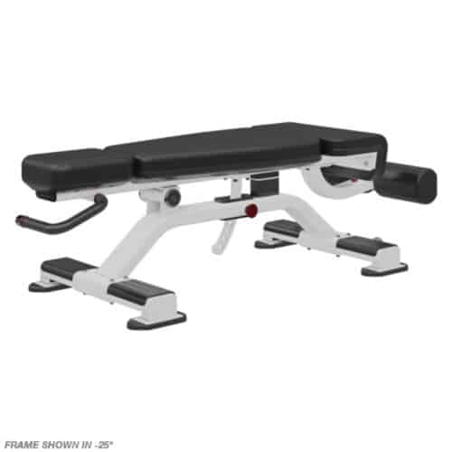 Nautilus Inspiration Adjustable Decline Bench - Image 3