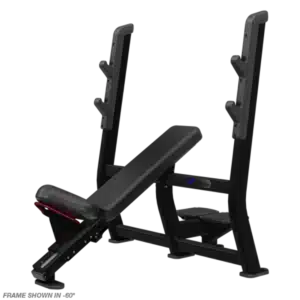 Nautilus Incline Bench Press