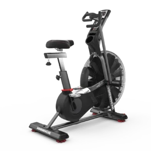 Schwinn AirDyne AD7